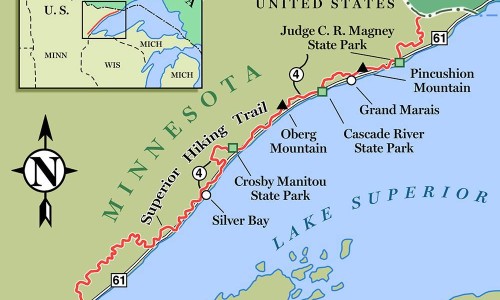 桂枝的功效与作用的功能与主治-桂枝的功效与作用 中药网-分享桂枝的功效与作用中药查询，桂枝的功效与作用中药查询知识库
