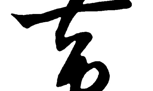桂枝的功效与作用 中药网-分享桂枝的功效与作用中药查询，桂枝的功效与作用中药查询知识库