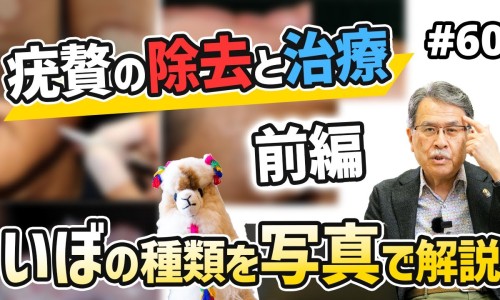 桂枝尖的功效与作用-桂枝的功效与作用 中药网-分享桂枝的功效与作用中药查询，桂枝的功效与作用中药查询知识库